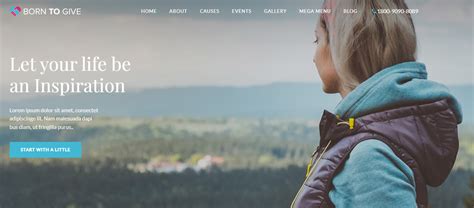 wordpress themes for nonprofits|8 Best WordPress Nonprofit Themes in 2024 .
